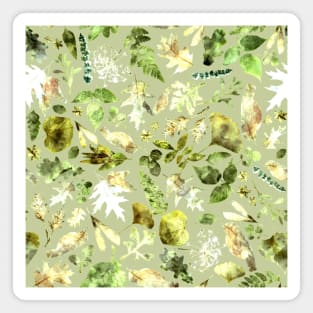 Woodland foliage, energizing green, watercolor wash Magnet